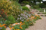 On the Creative and Spiritual Rewards of Gardening