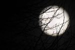 What Fear Can Teach Us