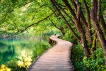 The Re-enchantment of Everyday Life