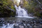 Water of Life