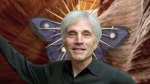 Bill Plotkin: the Butterfly and the Cocoon