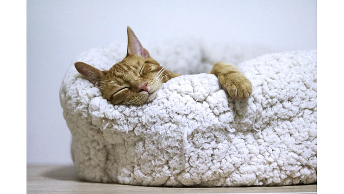 The Art and Science of Rest