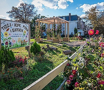 Near Philadelphia's New Green Spaces, a Dramatic Reduction in Crime