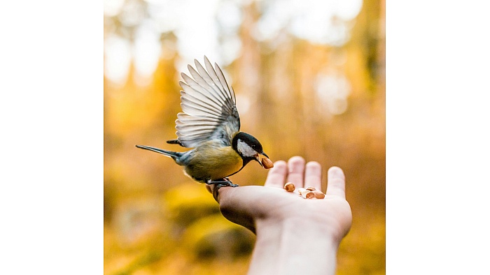 A Dance of Invisible Kindness