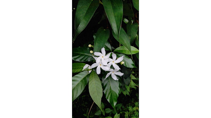 A Missed Goodbye, or Perhaps Not