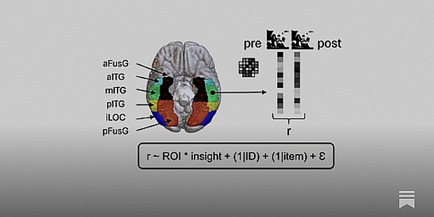 When the Brain Suddenly Sees