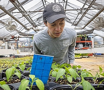Native Plants and a Quiet Revolution in Relating to Land