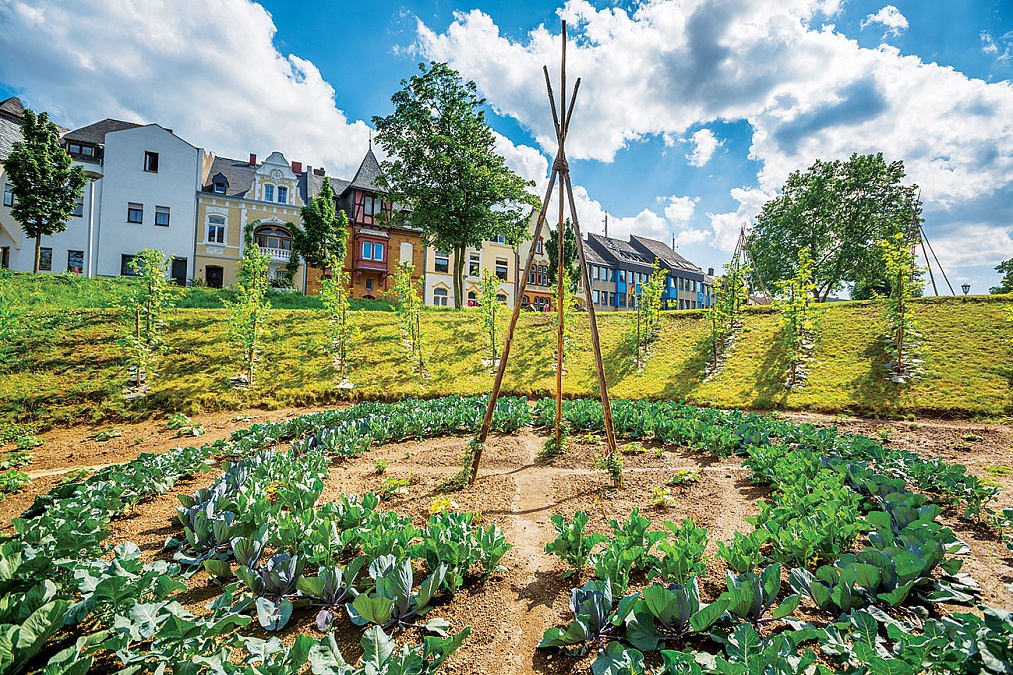 The Edible City Where Food Is Free