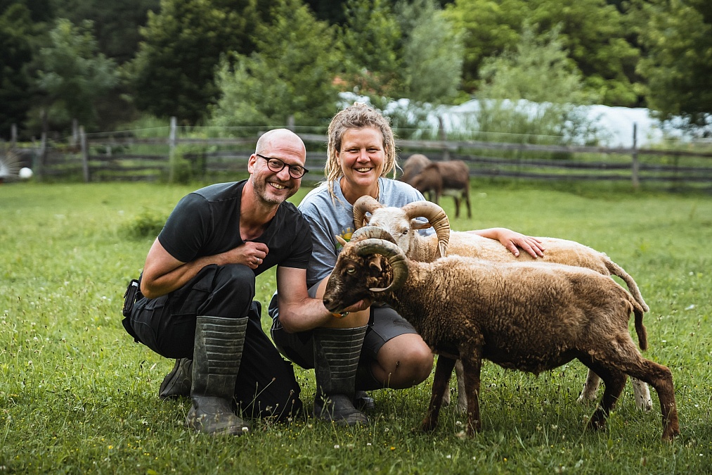 My Shift From Sales to a Farm Sanctuary with 150 Animals