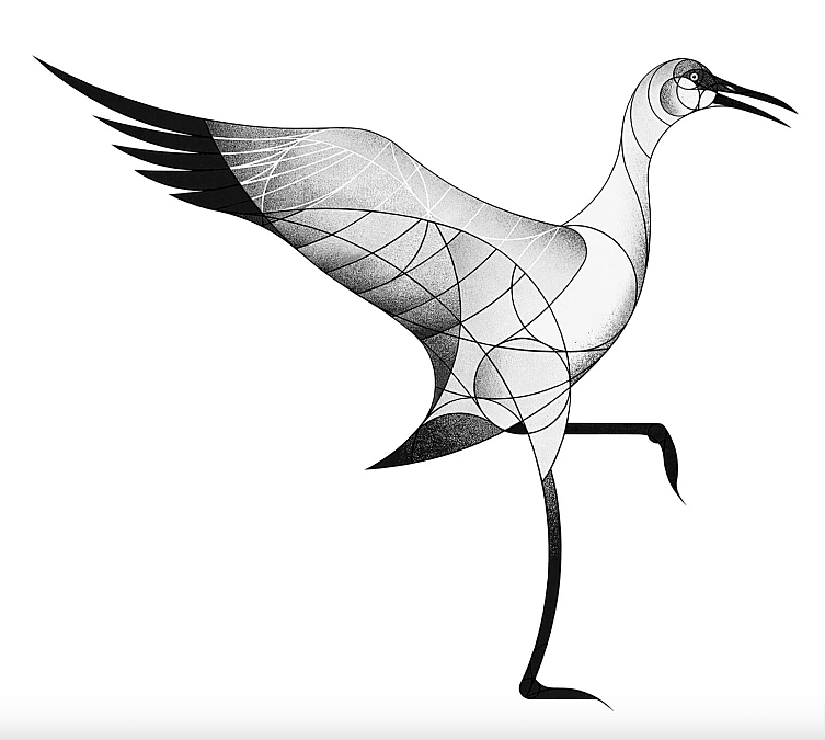 Birds as Sonic Neurotransmitters Across Species