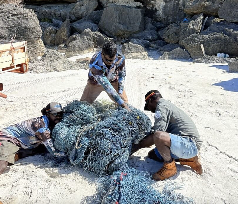 The Nets That Didn't Disappear