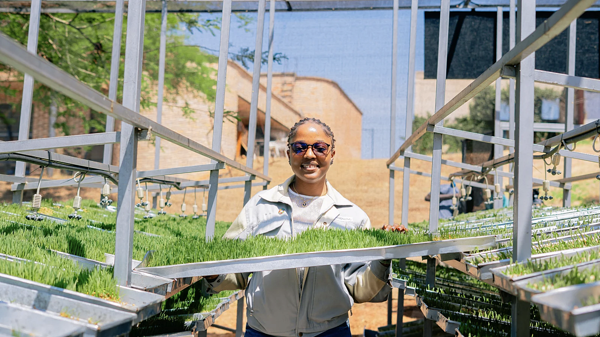 Meet the Young Nigerian Innovator Building a Climate-Resilient Food System