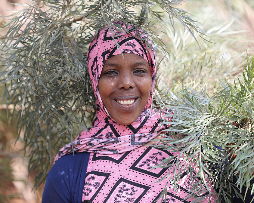 Reforesting Ethiopia with 50 Billion Trees, One Step at a Time