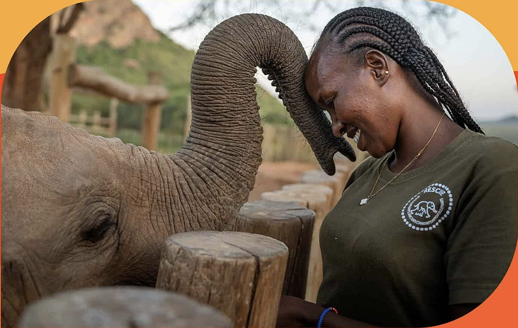 The Women Putting Community at the Heart of Elephant Conservation